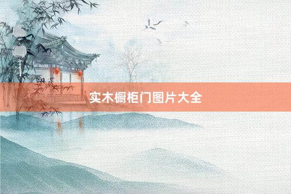 实木橱柜门图片大全